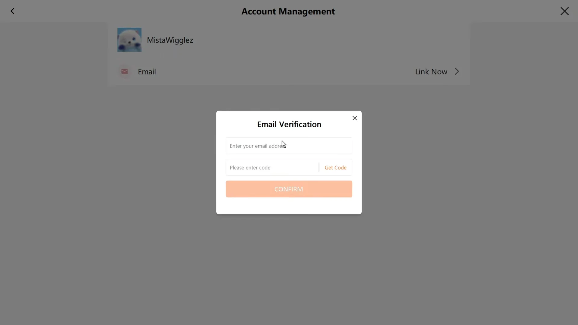 Linking Email on PC
