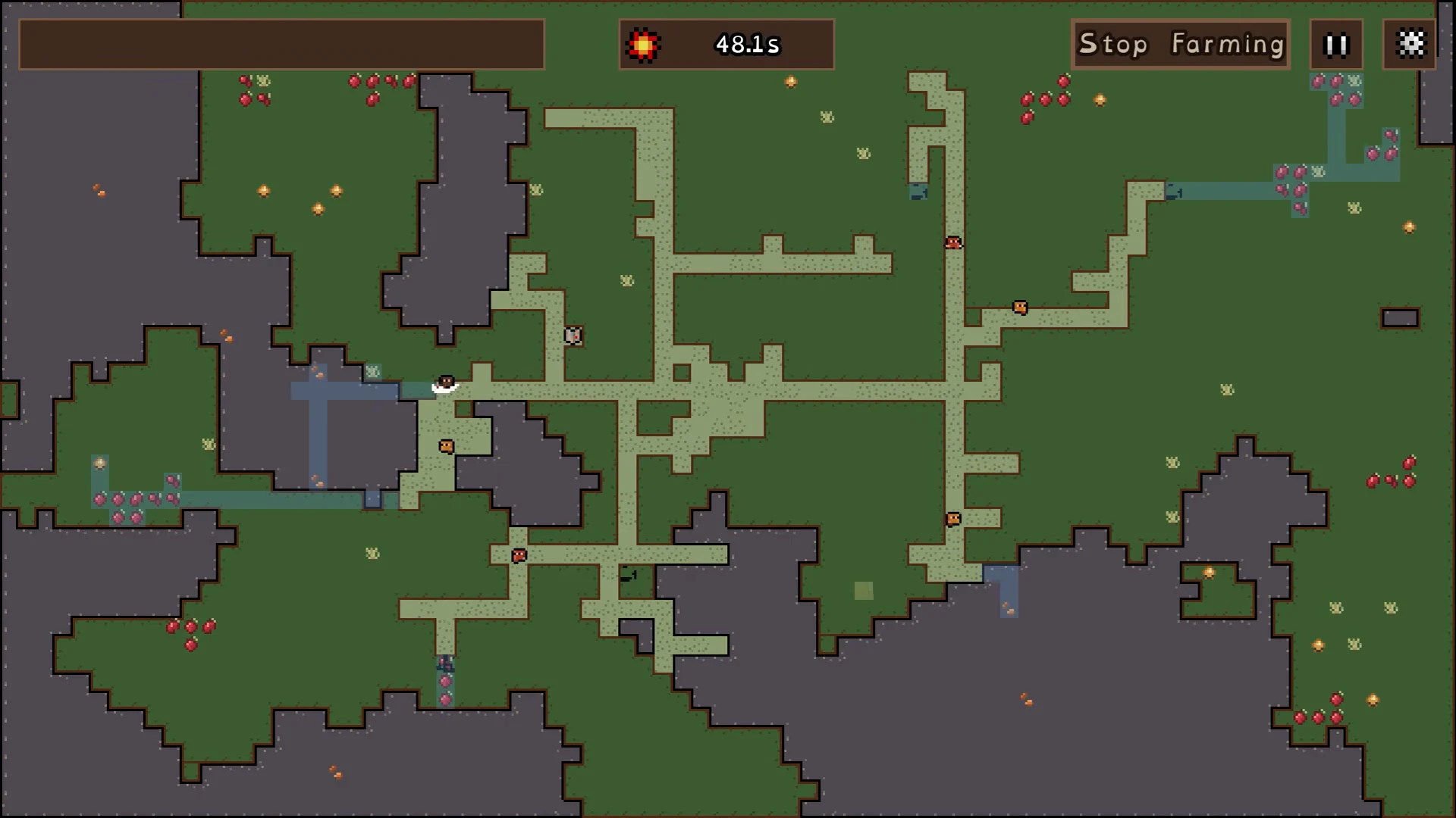 Forest Farming Expedition