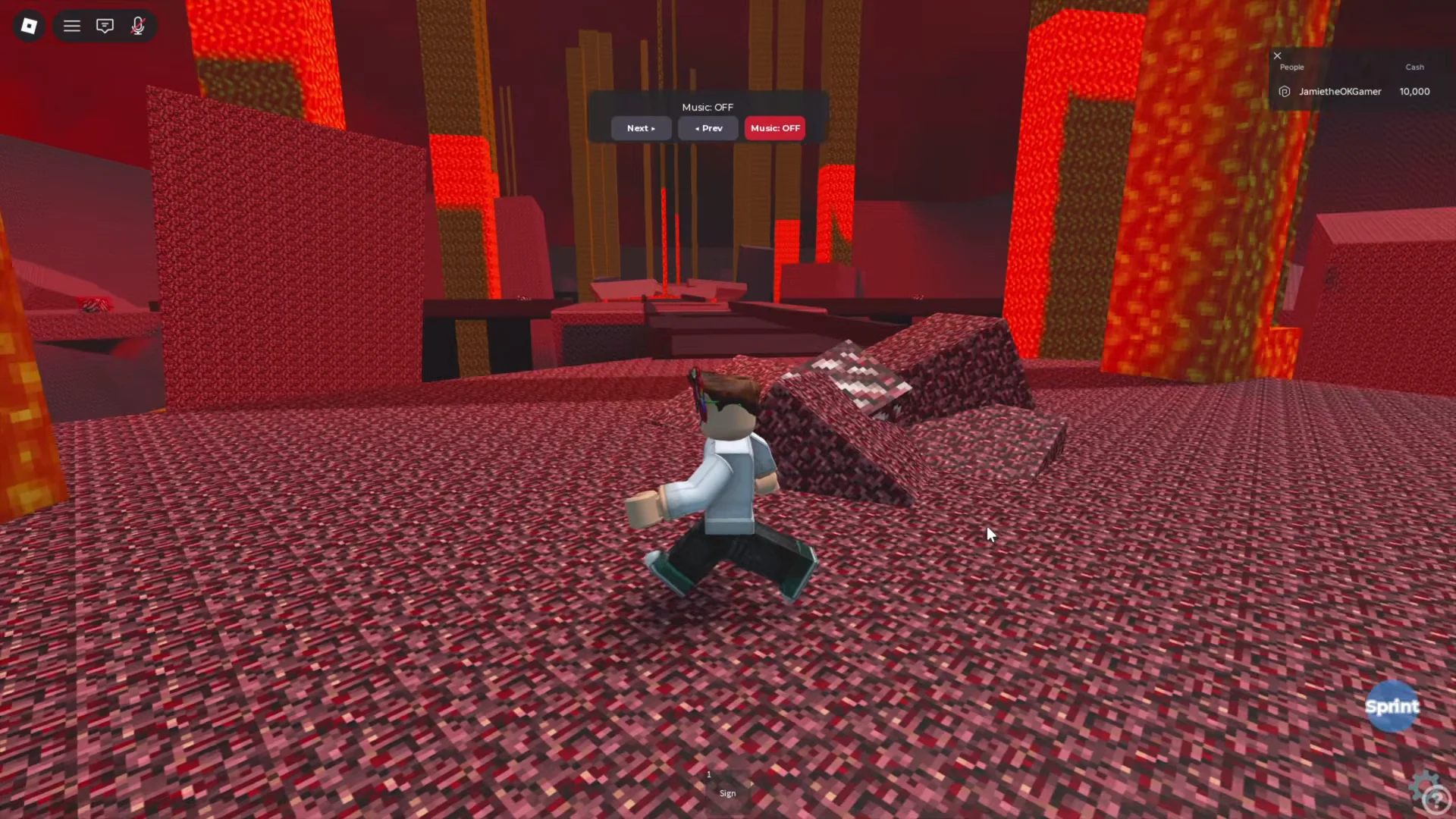 Entering Nether