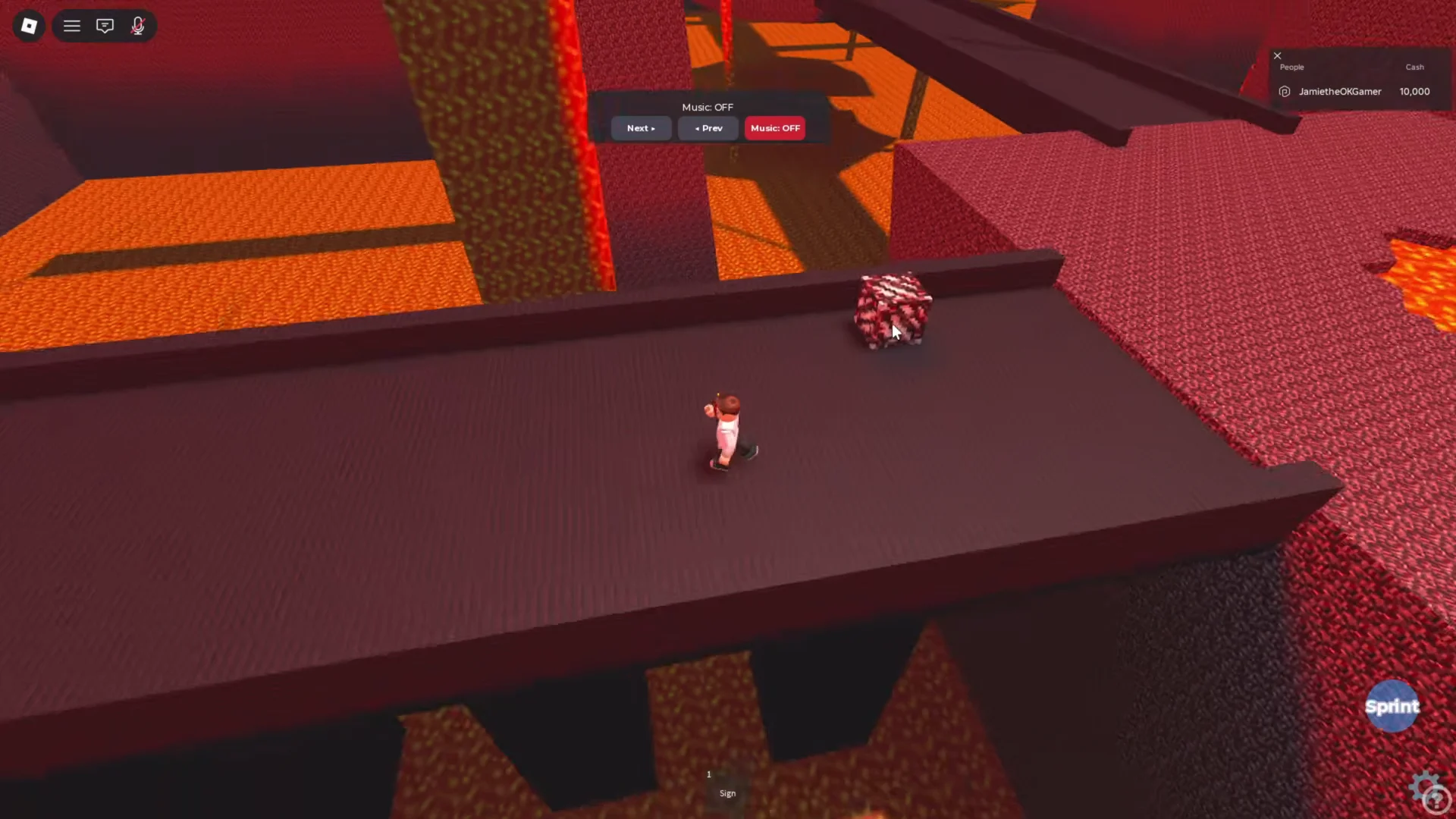 Returning to Nether