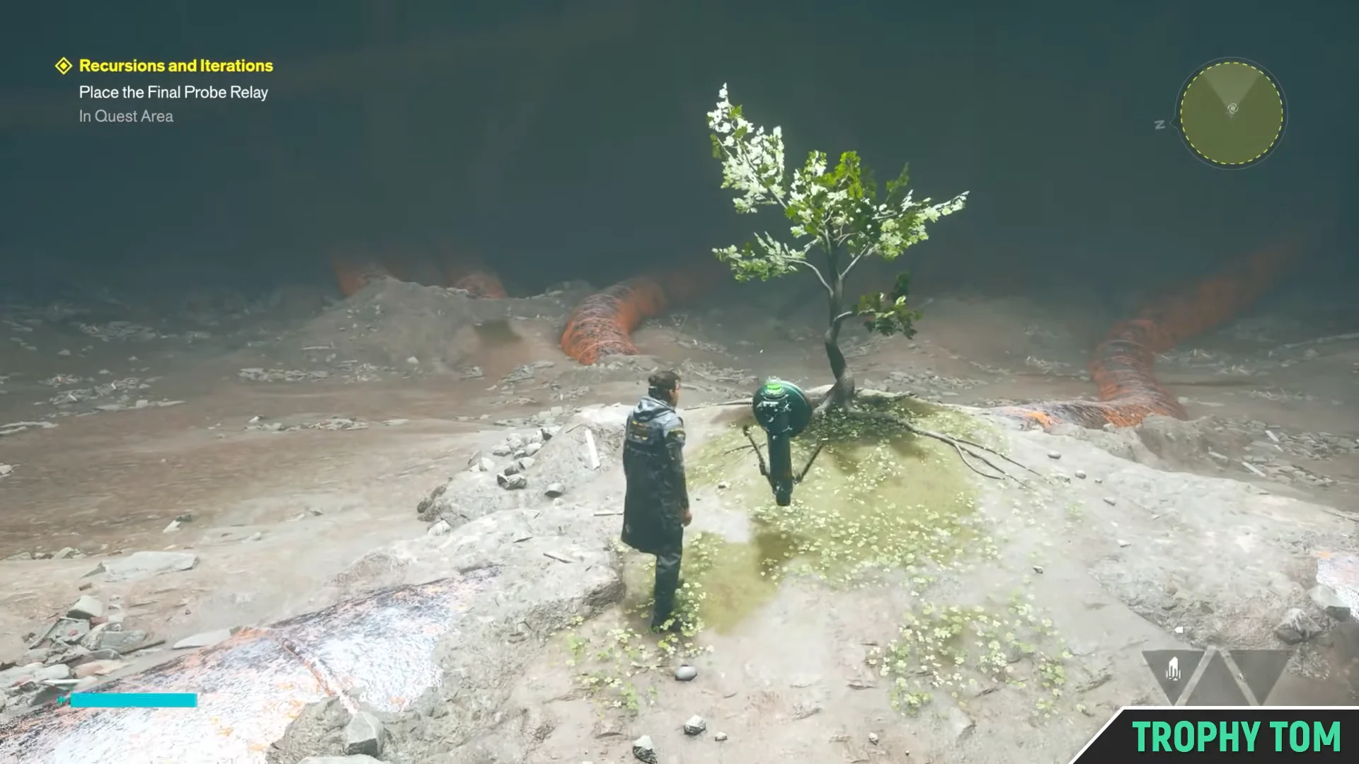 Reaching the Tree