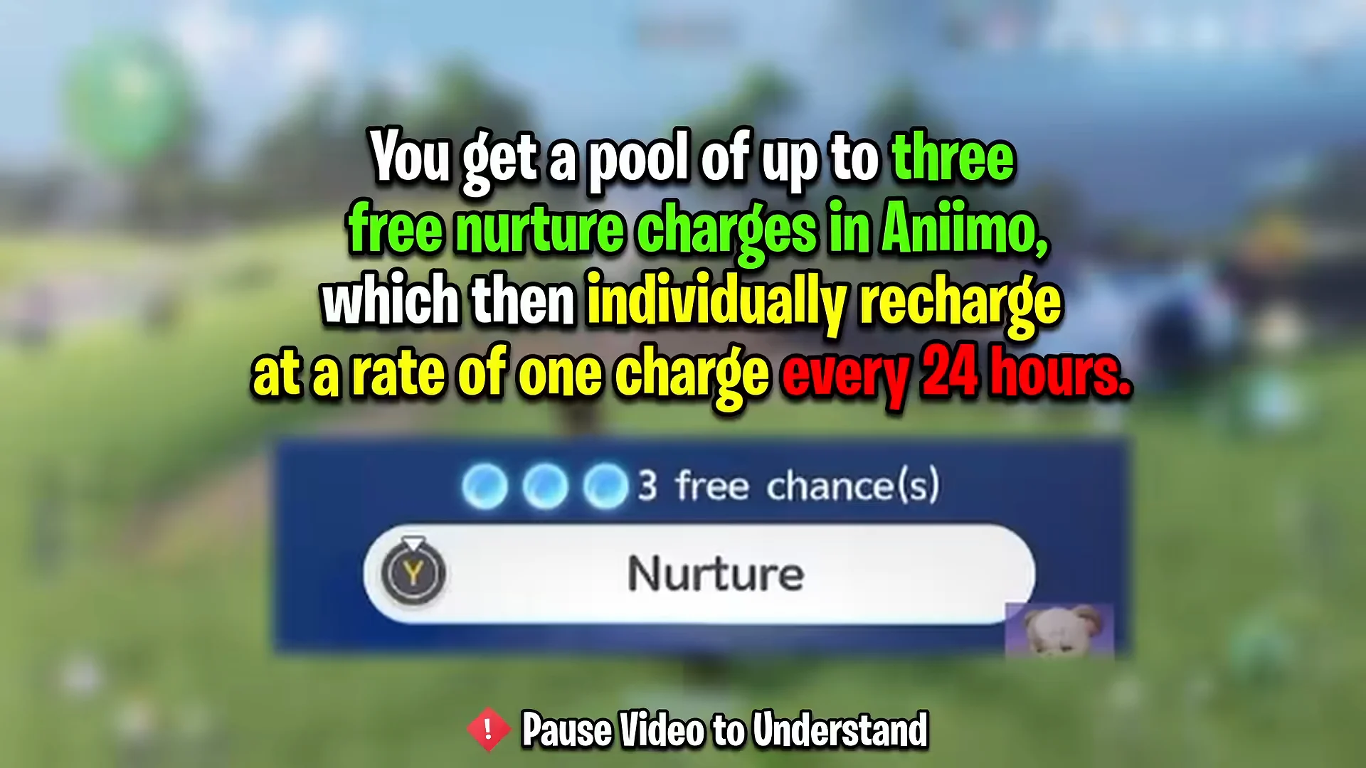 Nurture Activation & Daily Limit Rules
