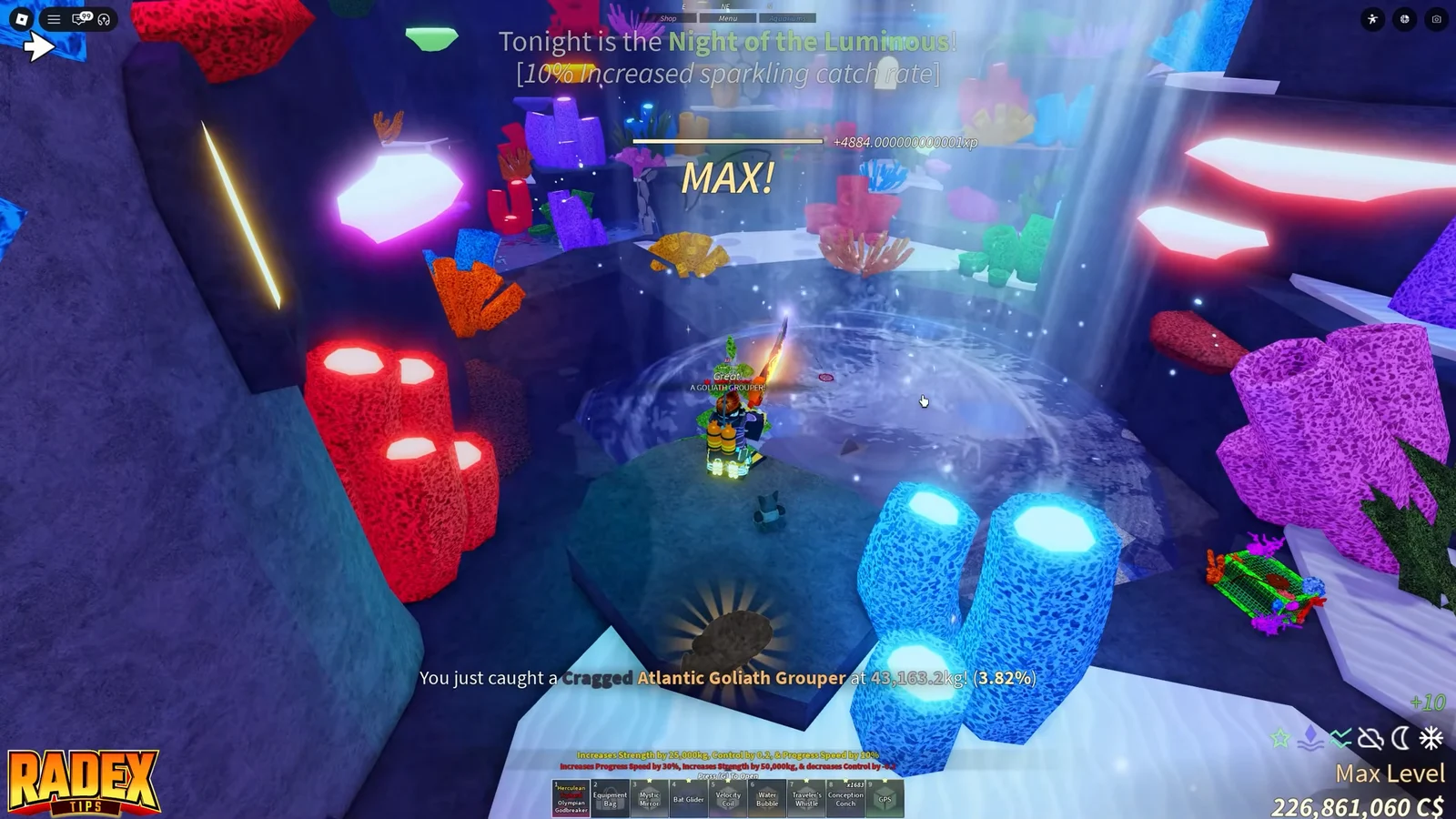 Requiem of the Husk & Ethereal Skin