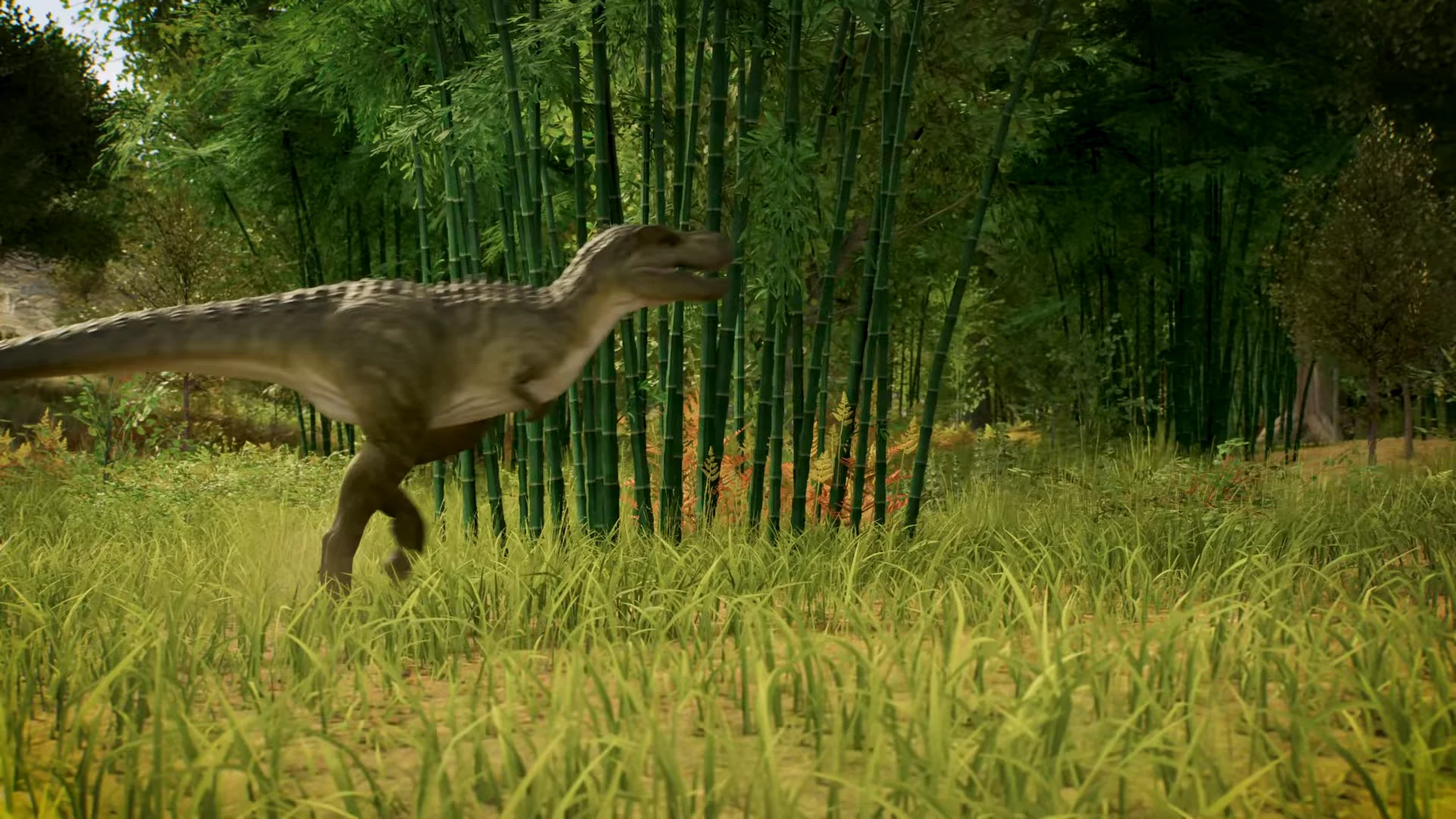 Juvenile Tarbosaurus Sprint