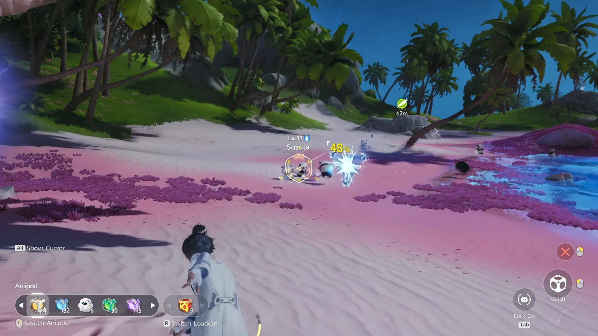 Exploring the shore