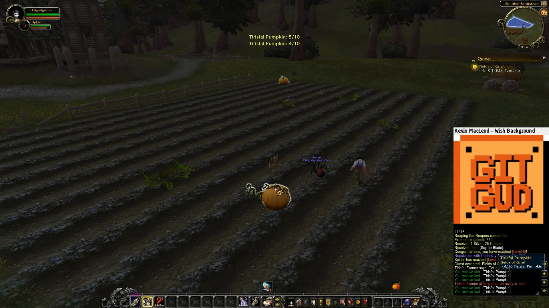 Harvesting remaining pumpkins