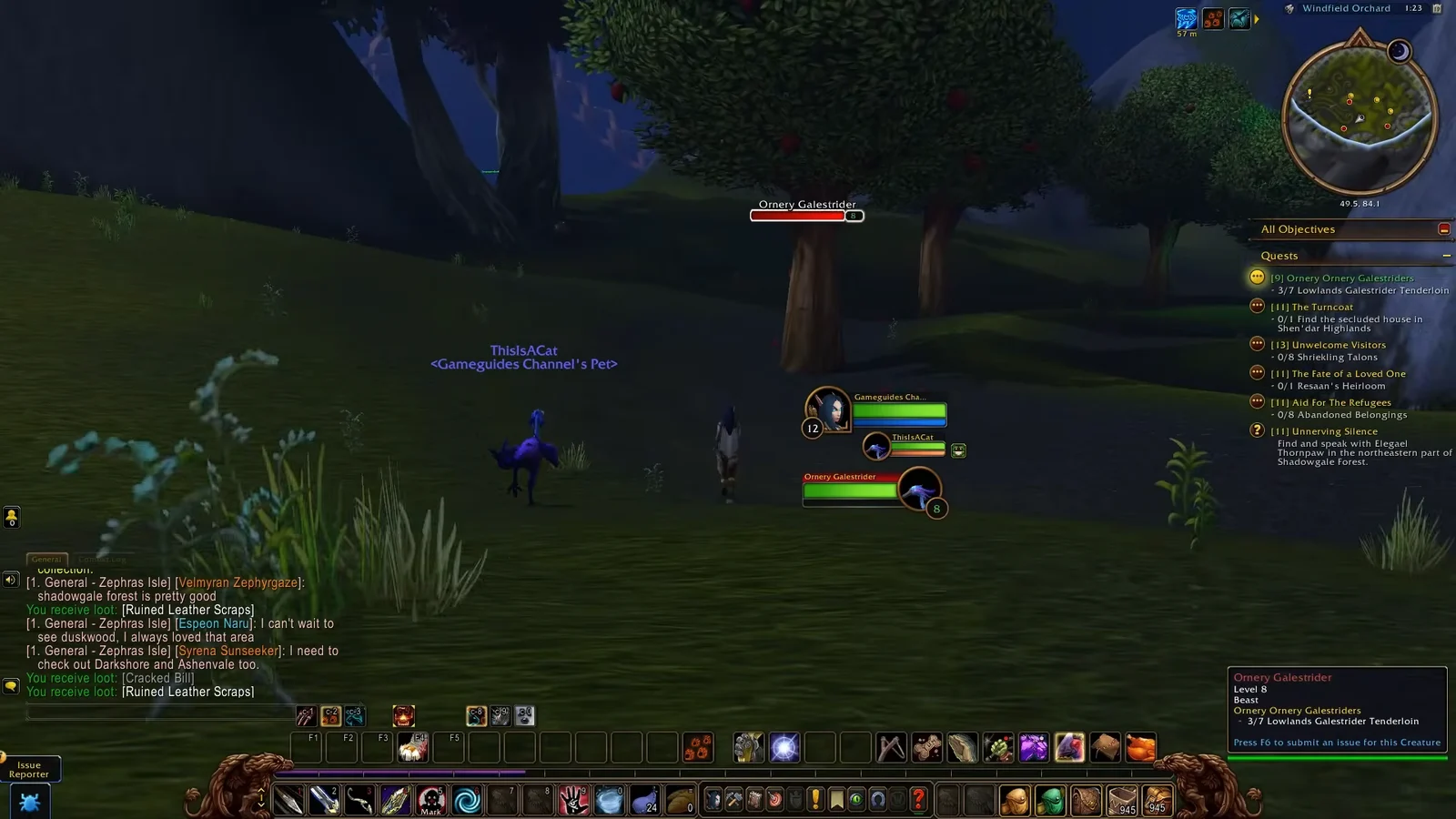 Combat Encounter