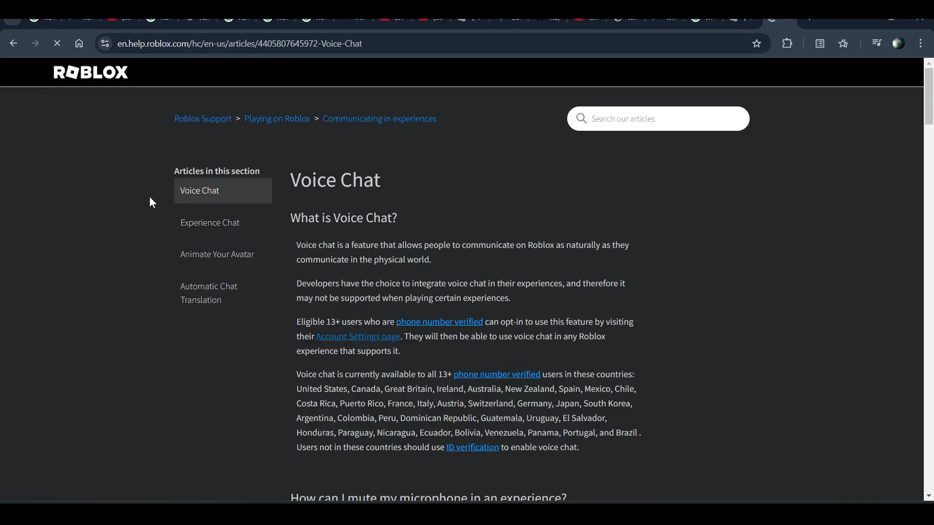 Explaining Voice Chat Requirements
