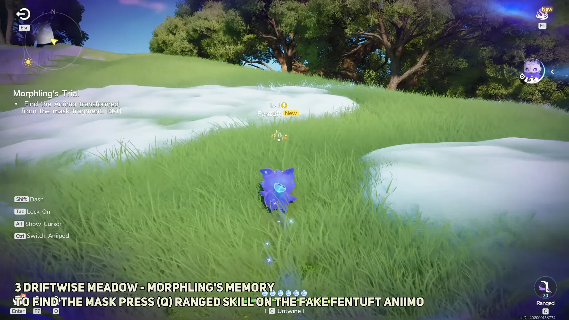 Completing Morphling's Trial at Driftwise Meadow