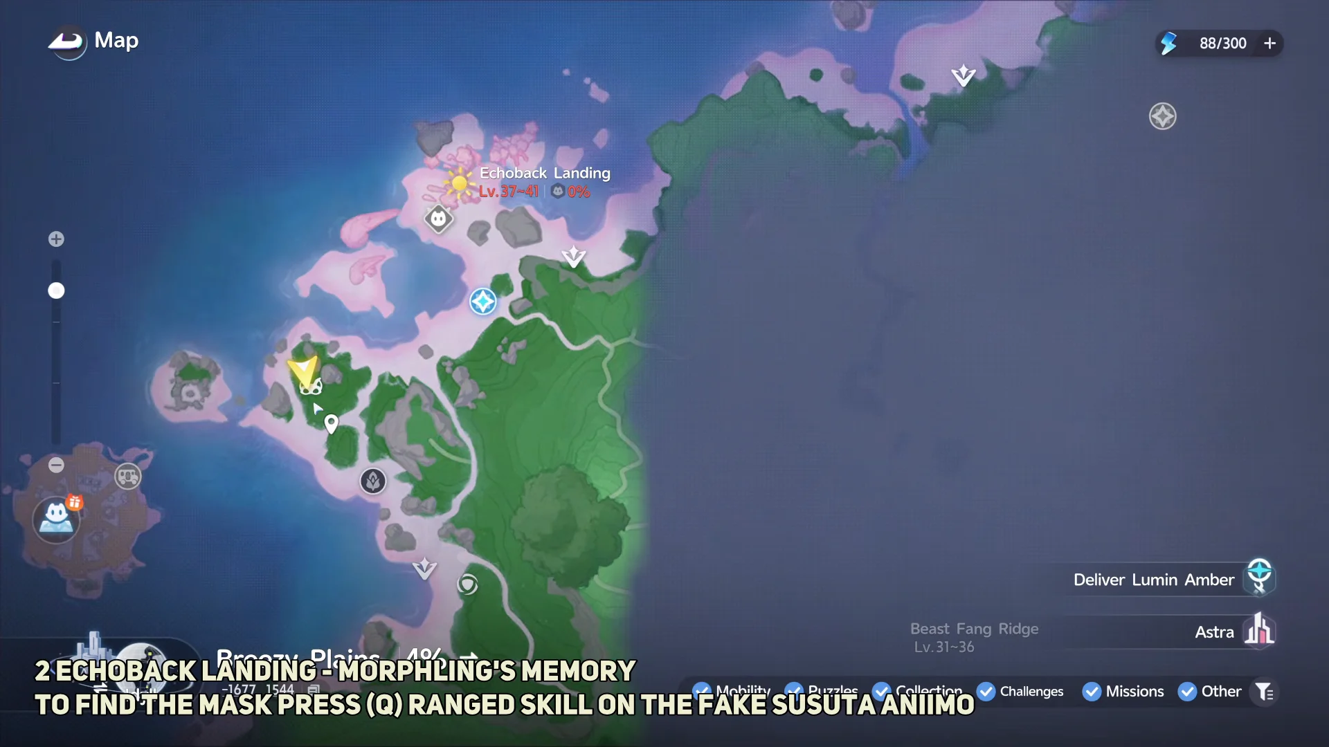 Echoback Landing Morphling's Memory location