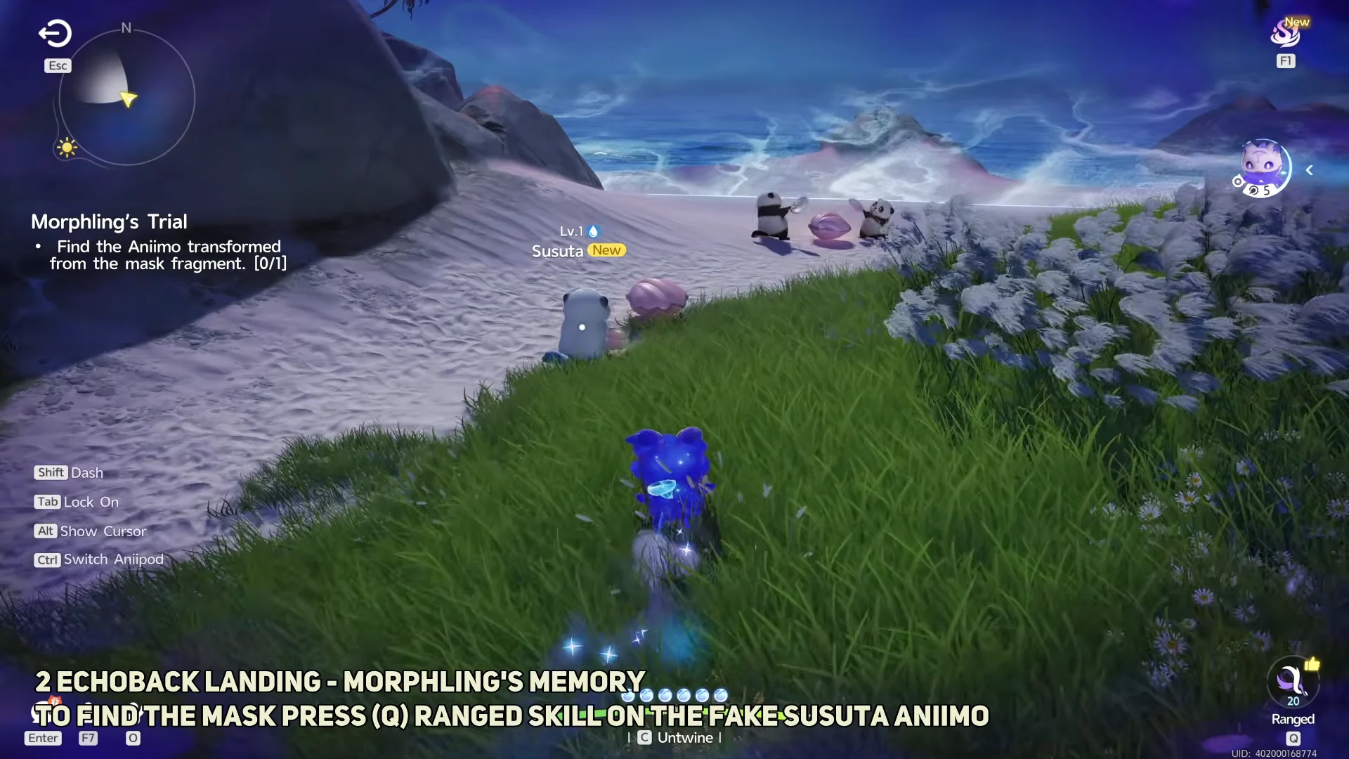 Completing Morphling's Trial at Echoback Landing