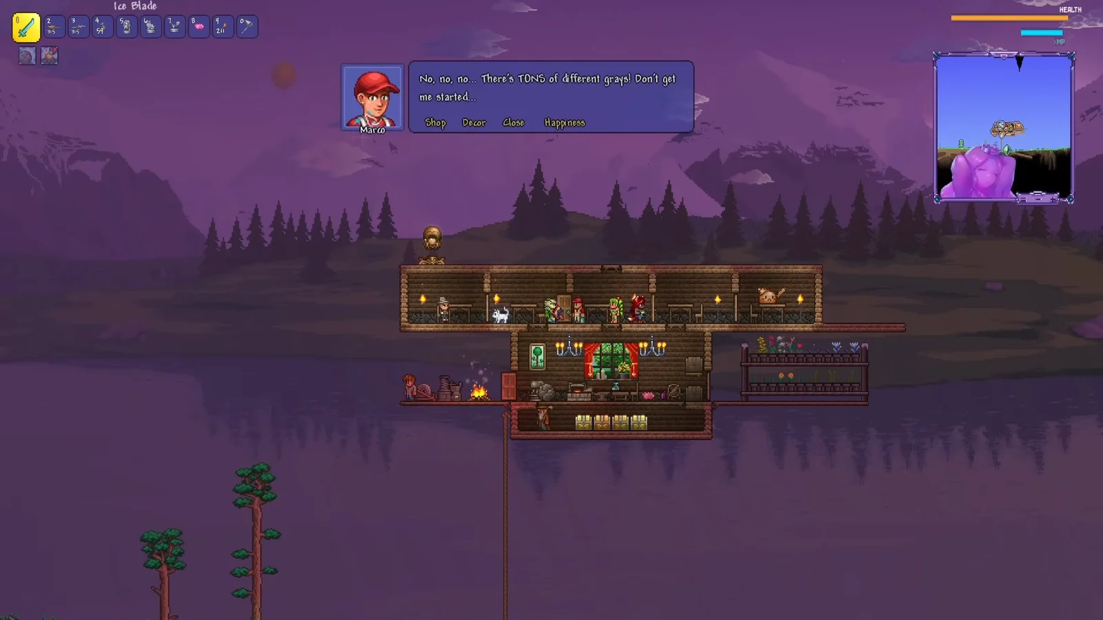 Snow Biome NPC House