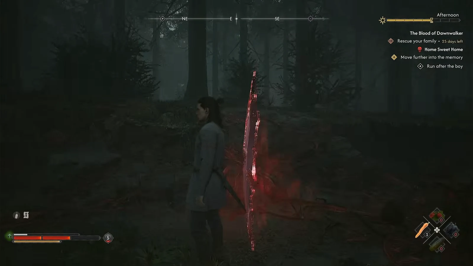 Coen stands beside a glowing red rift in a foggy forest with the Run after the boy objective active