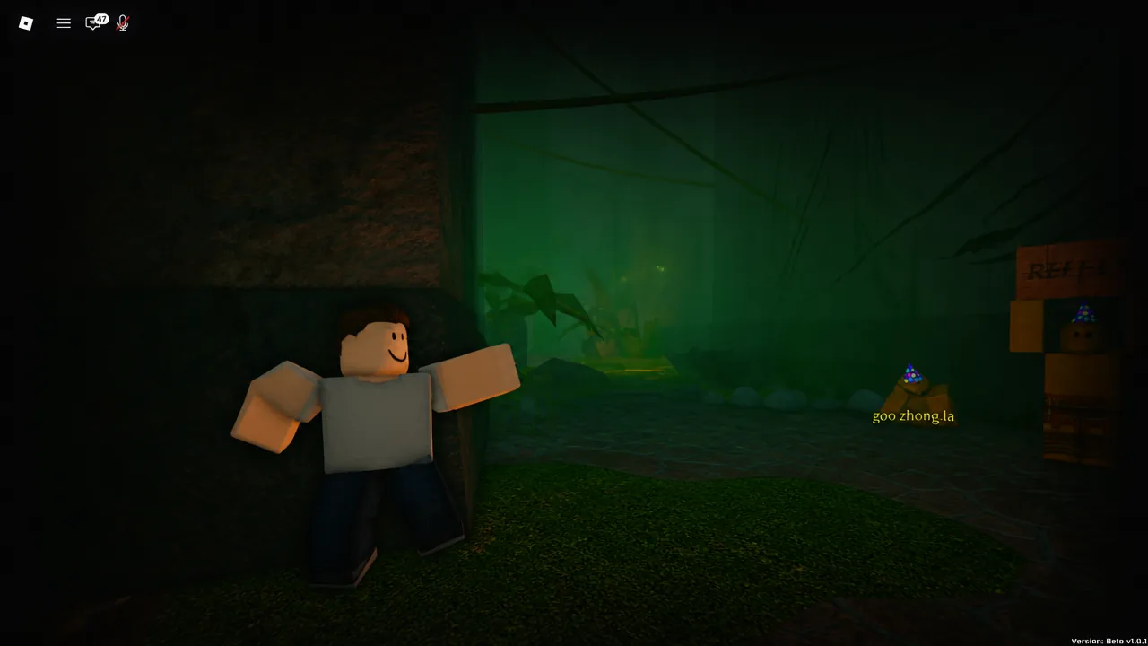 Player character standing in a dark green cavern inside the labyrinth