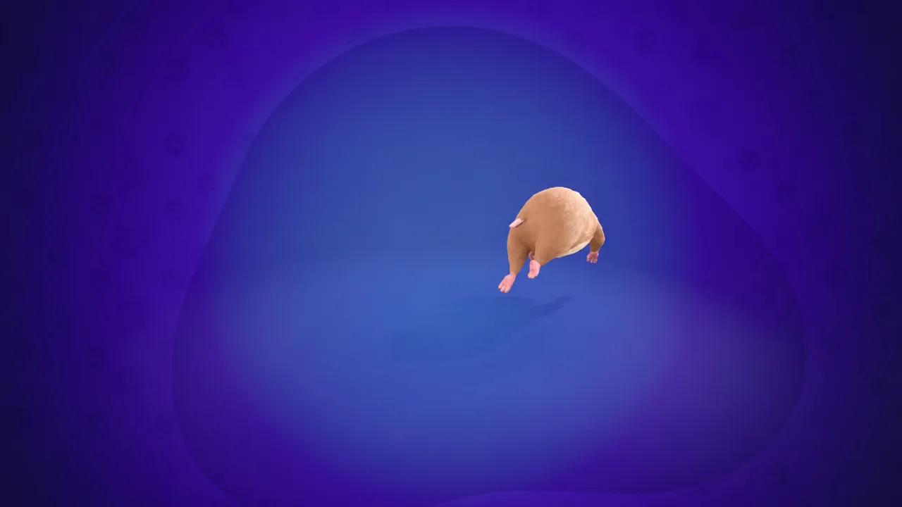 Hammy Sidekick in Fortnite: Colors, Styles, and Reactions