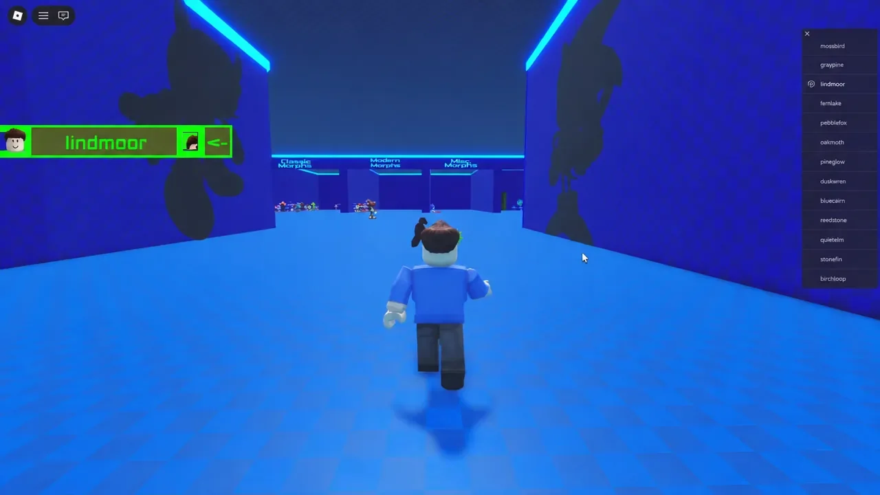 Hub corridor leading into the Badge Morphs room in Sonic RP
