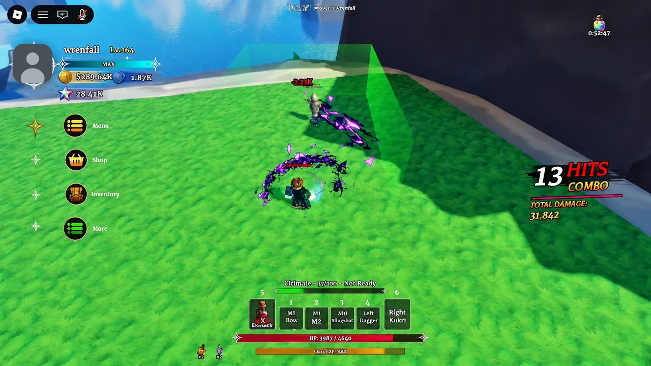 Combat screen showing a 13 hit combo counter while attacking an enemy