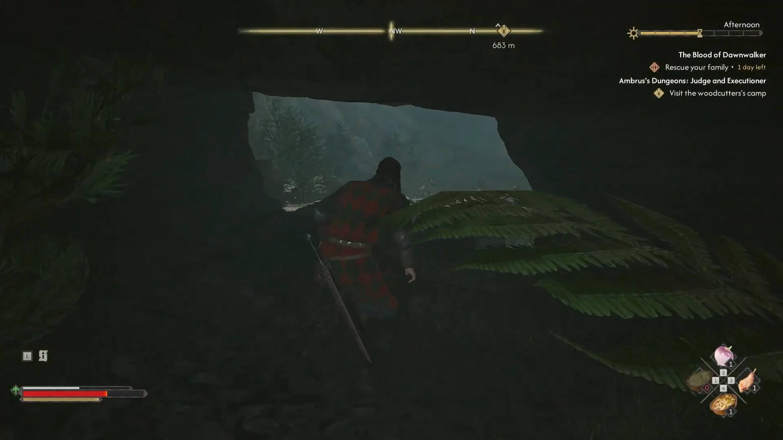 Coen pushes through dense dark woodland while following the tracks toward the hidden cave