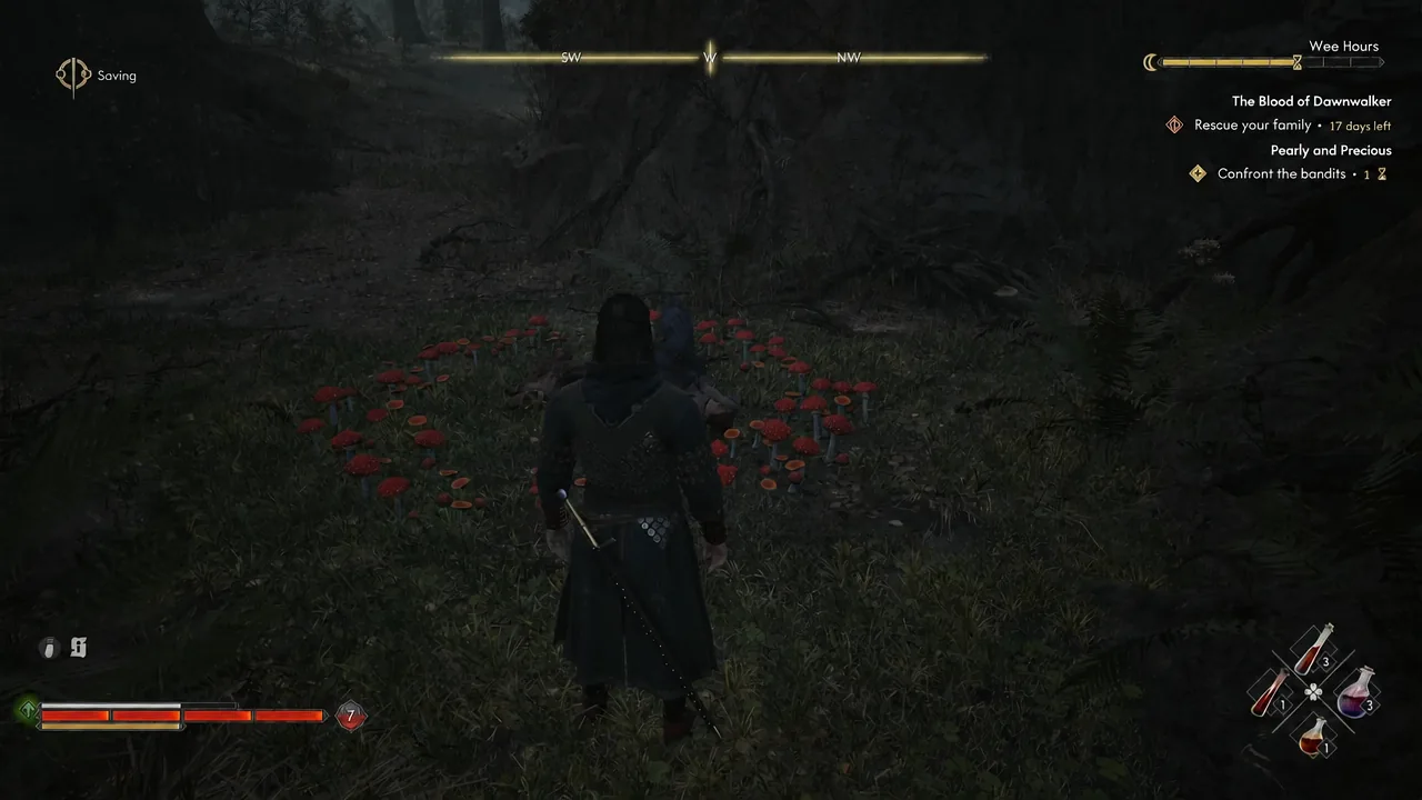 Quest tracker showing Confront the bandits while following footprints through the night forest
