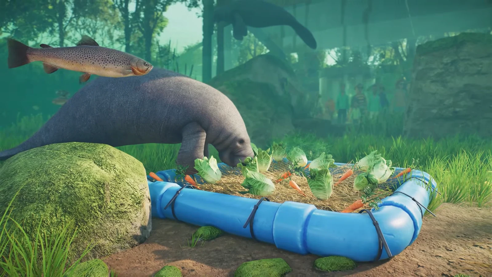 Manatees swimming past submerged logs and underwater viewing windows