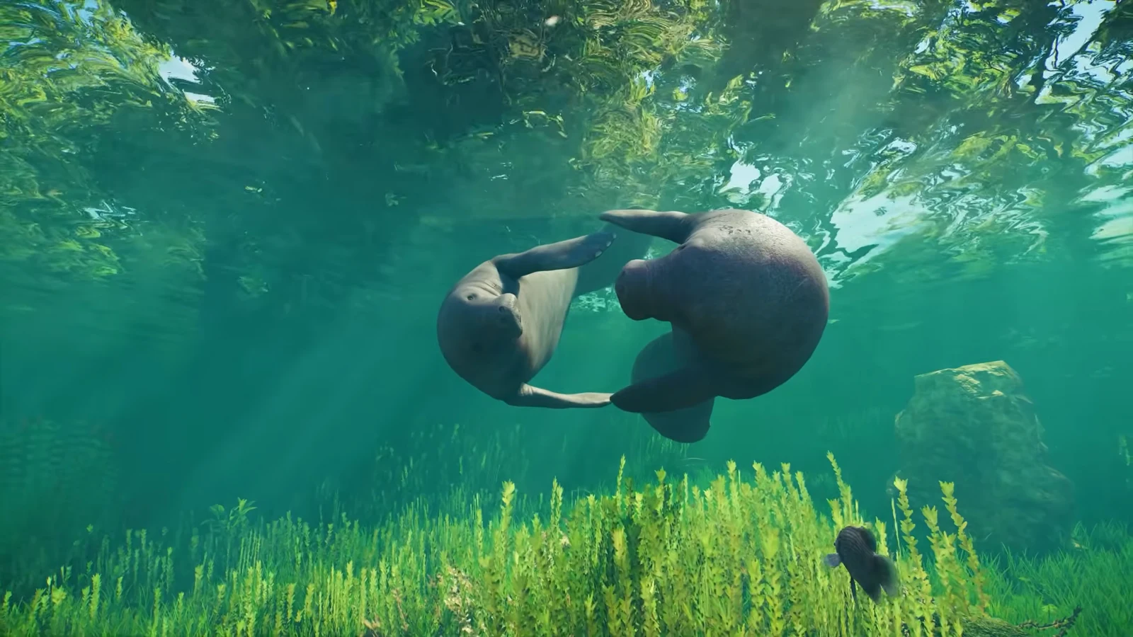 Park guests viewing manatees through an underwater glass panel