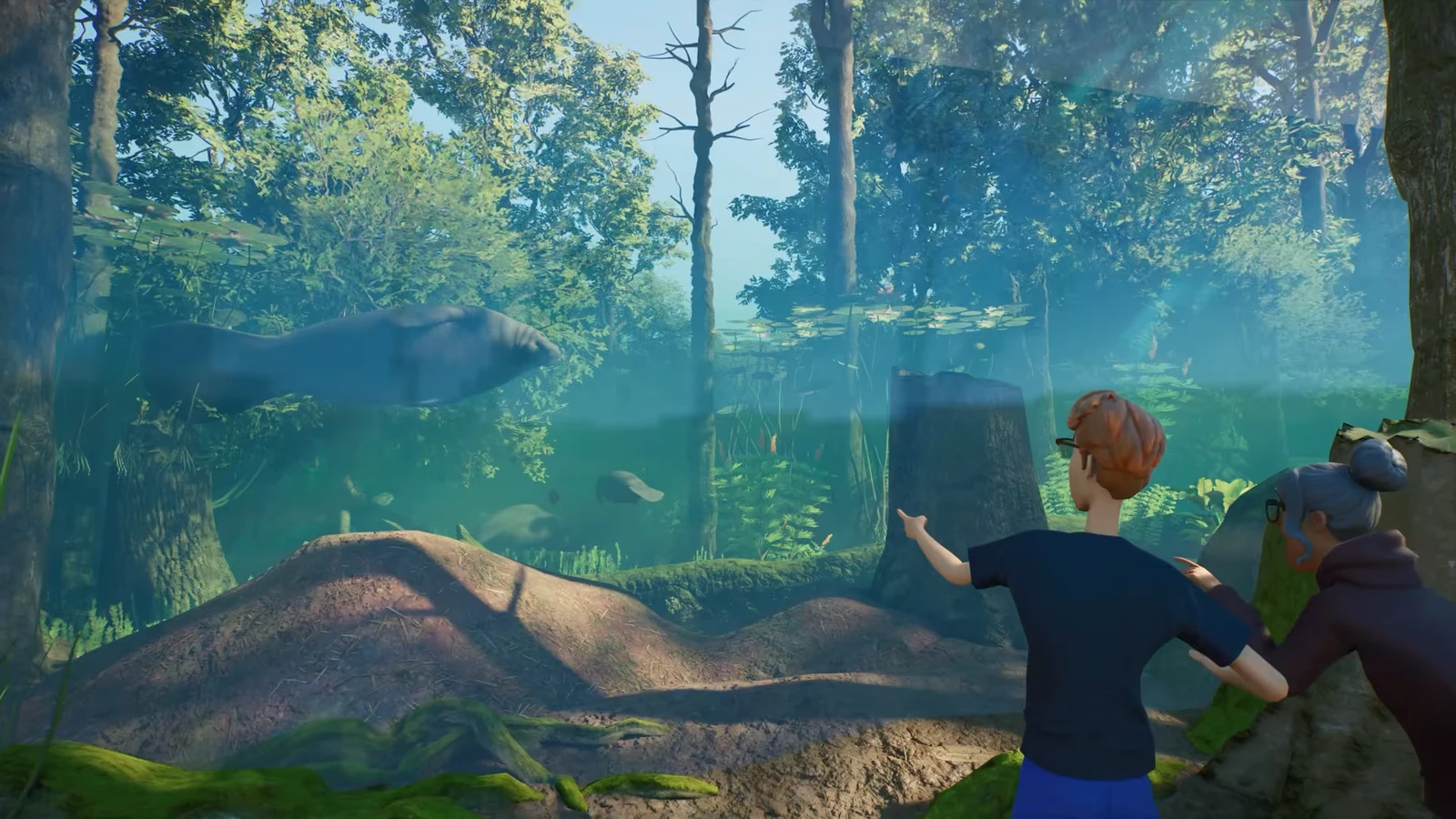 A West Indian Manatee floating in clear green water inside an aquatic enclosure