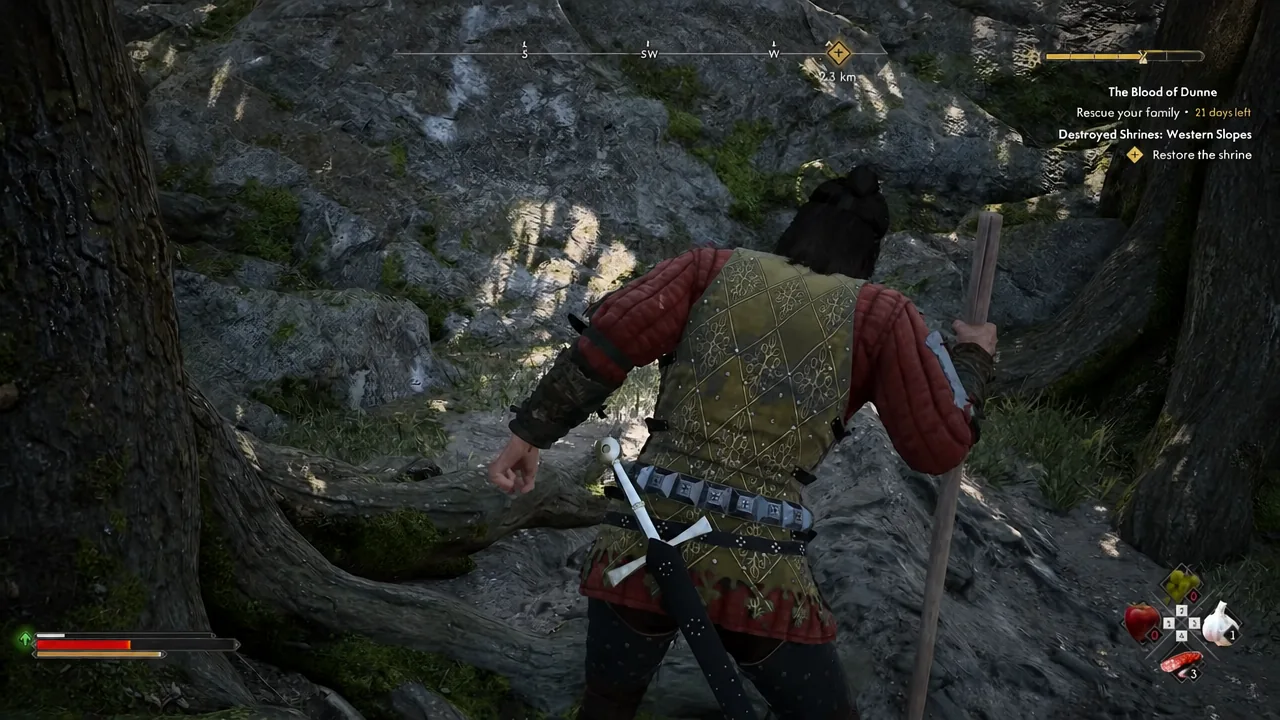 Character crossing rocky forest ground with the quest tracker visible on screen