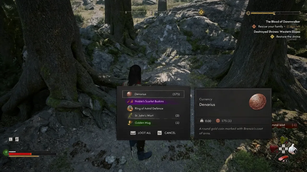 Loot window listing Denarius with Loot All and Cancel options
