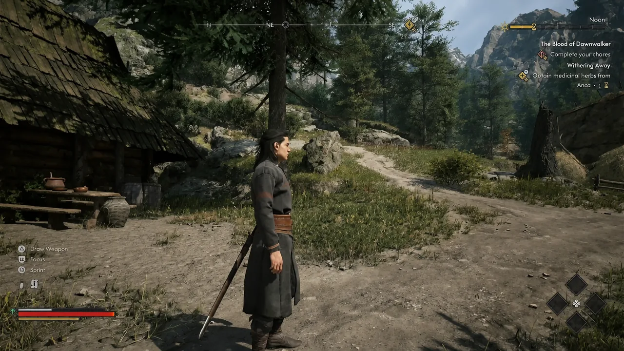 Quest tracker showing the objective to obtain medicinal herbs while Coen stands on the path outdoors