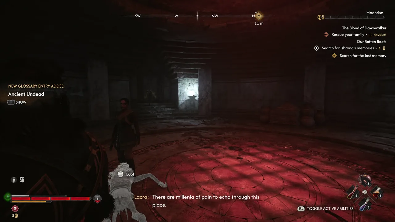 On-screen notification for the new Ancient Undead glossary entry with a SHOW prompt inside the catacombs