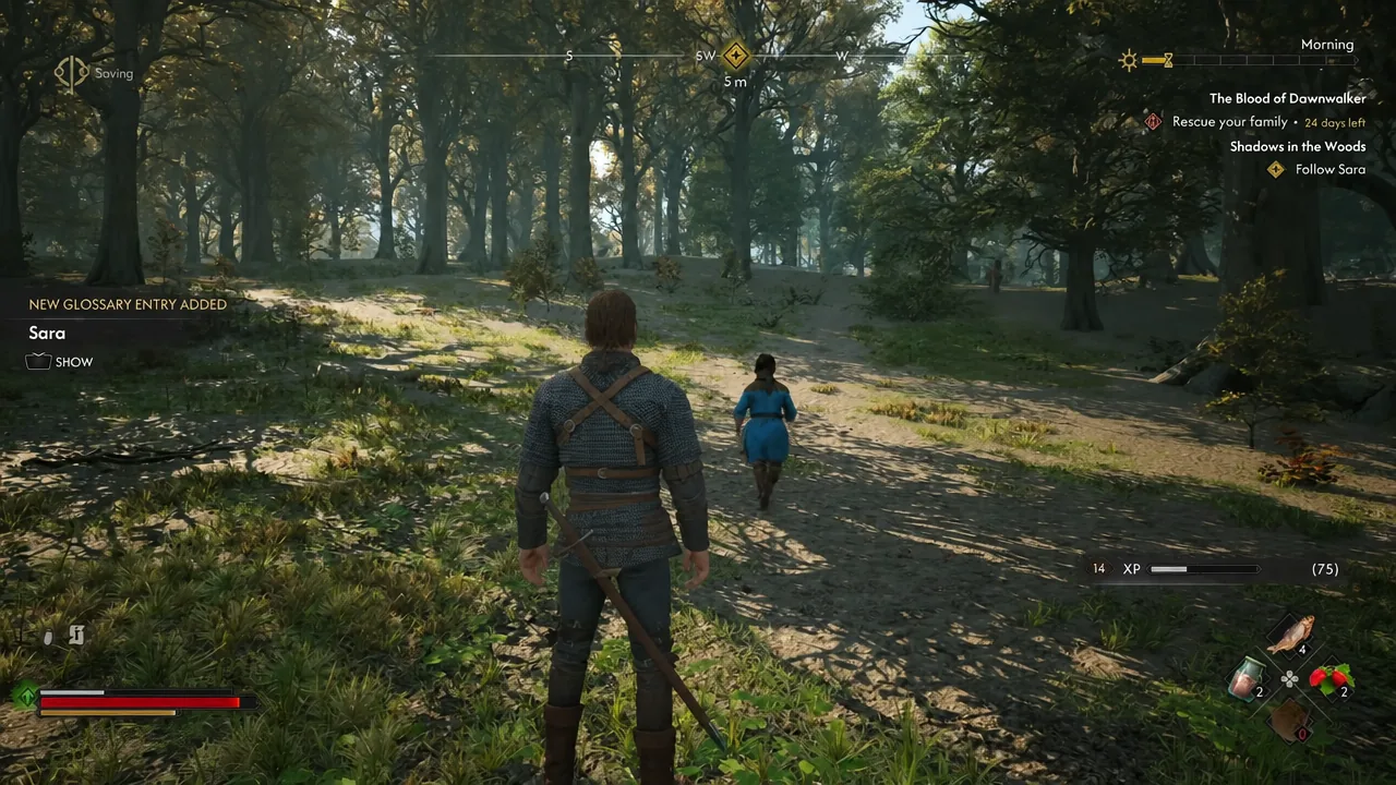The Follow Sara objective on screen as Coen trails Sara through the woods