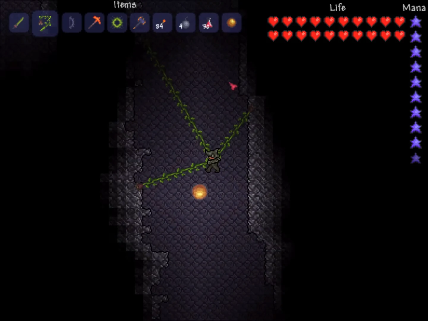 The player explores a tall, vine-lined stone shaft underground, illuminated by a single torch.