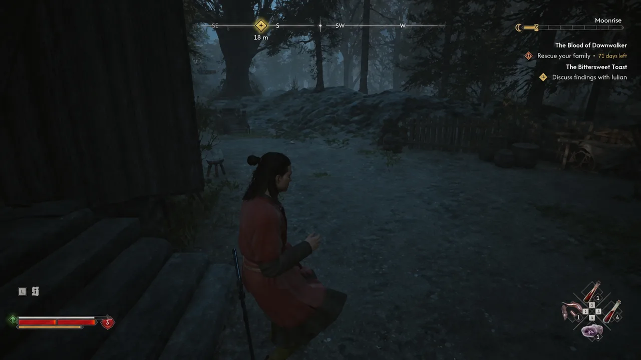 Compass objective marker 18 meters away as Coen moves through the forest at night