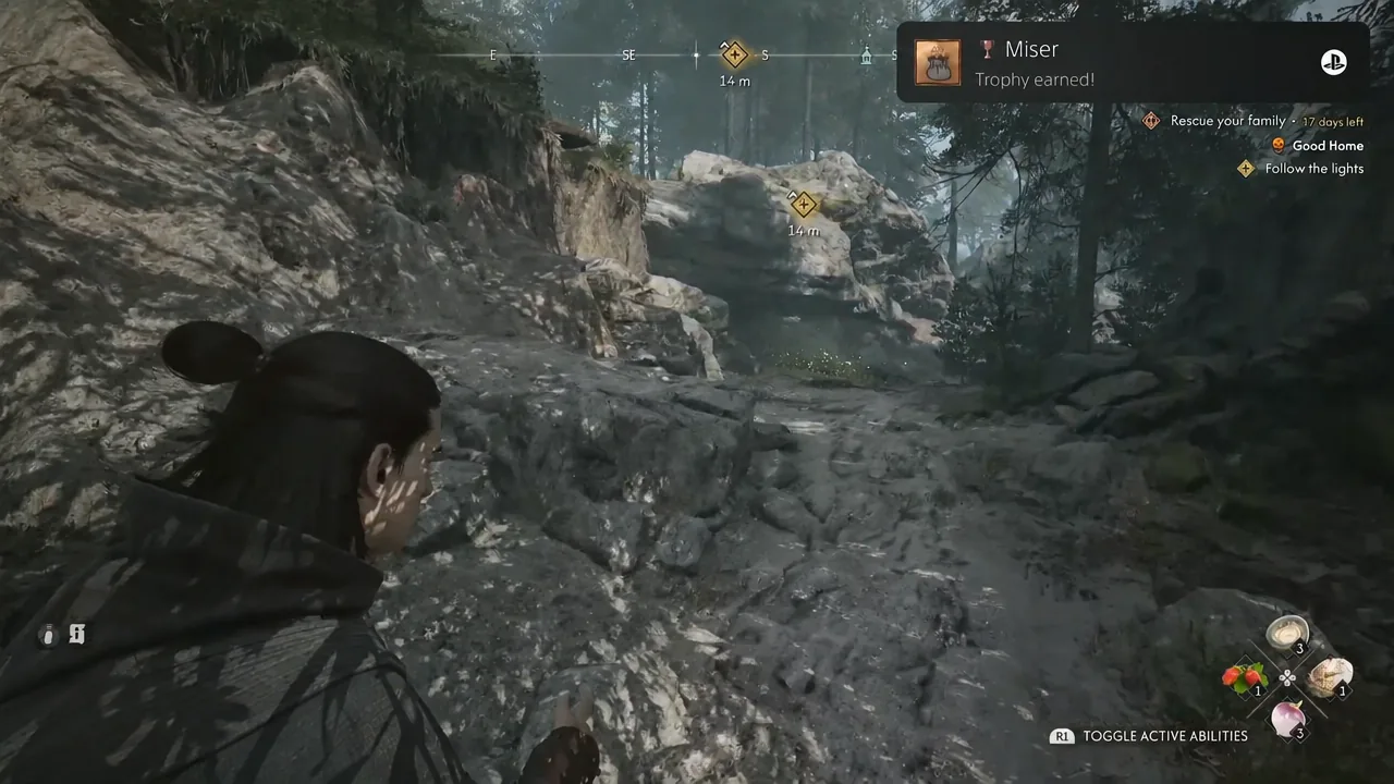 Find Silk Threads (Good Home Quest)