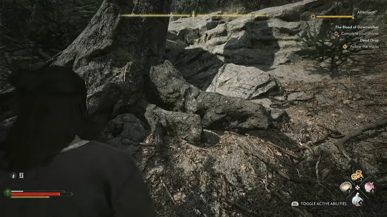 Coen follows footprints uphill through a rocky stretch of forest during the Dead Drop quest
