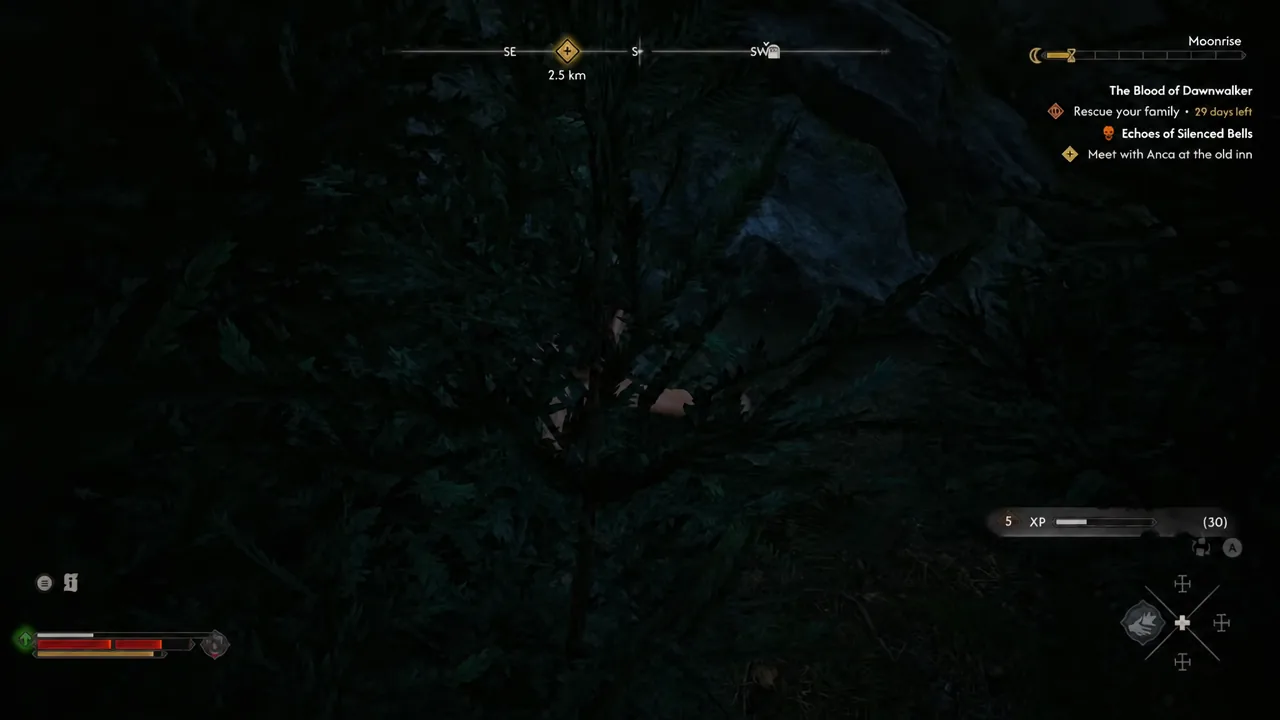 Moonrise gameplay screen with the Meet with Anca at the old inn objective while crossing a dark forest