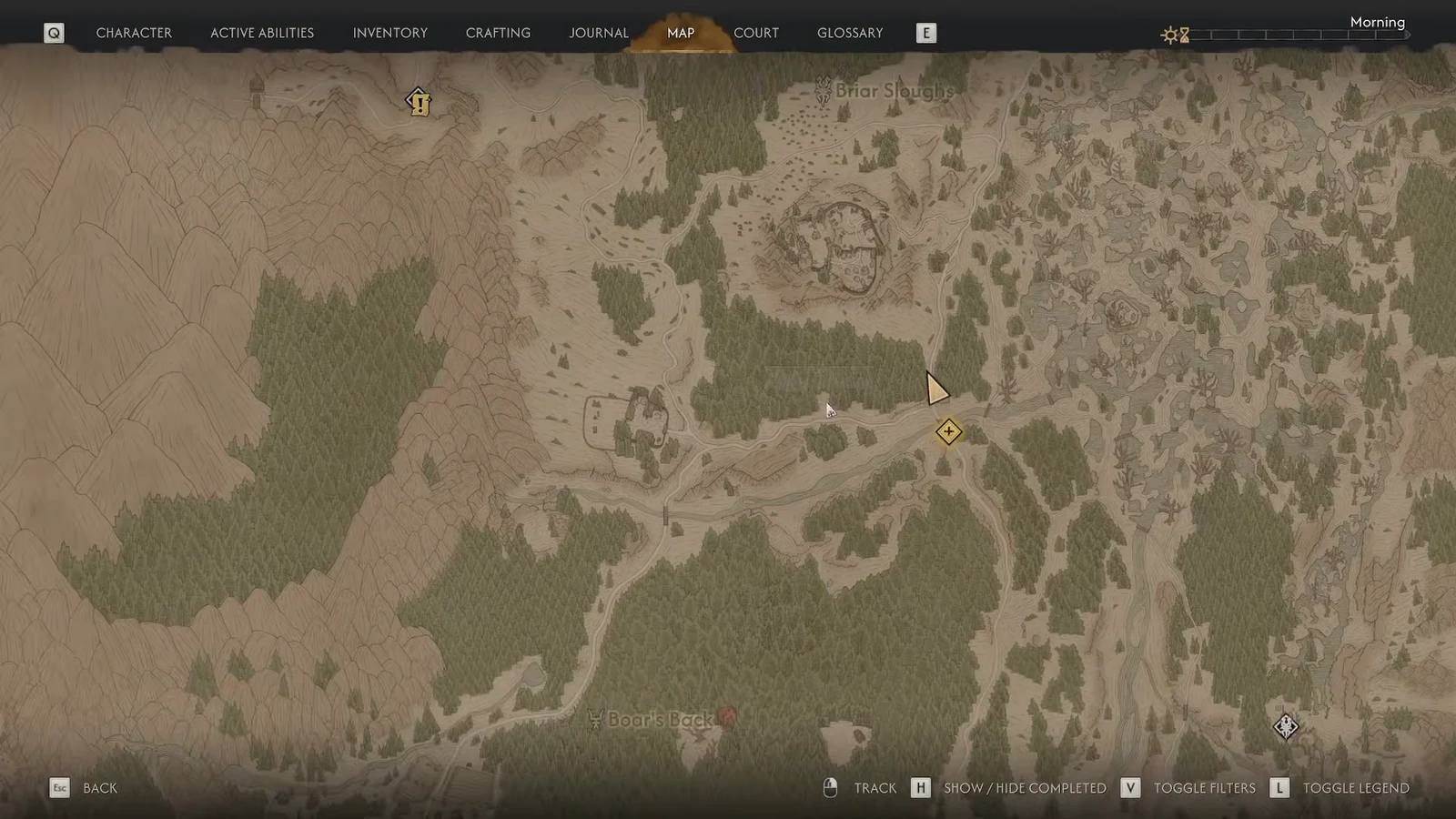World map open with the player marker and a yellow objective marker sitting south of Briar Sloughs