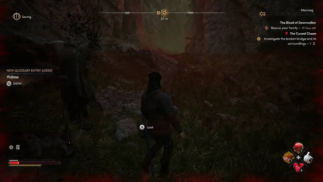 Loot prompt on screen in the Cursed Chasm alongside a new Vidmo glossary entry notification