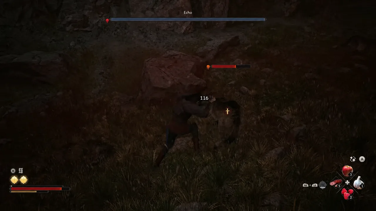Coen strikes a red-marked enemy for 116 damage during the Echo encounter in the chasm