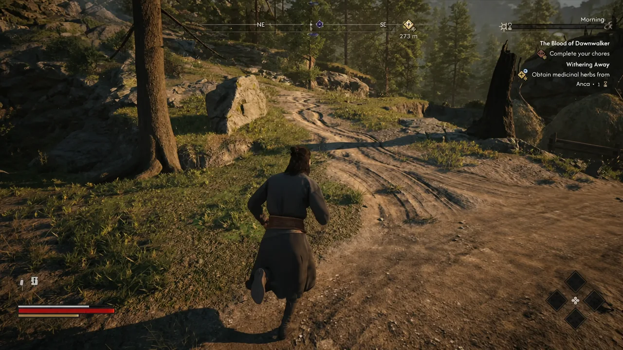 Coen running the dirt path northeast with the medicinal herbs objective active in the tracker