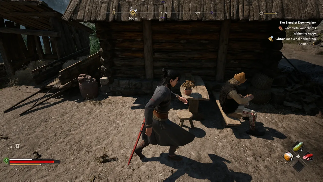 Quest tracker showing the objective to obtain medicinal herbs from Anca while Coen stands beside a seated villager