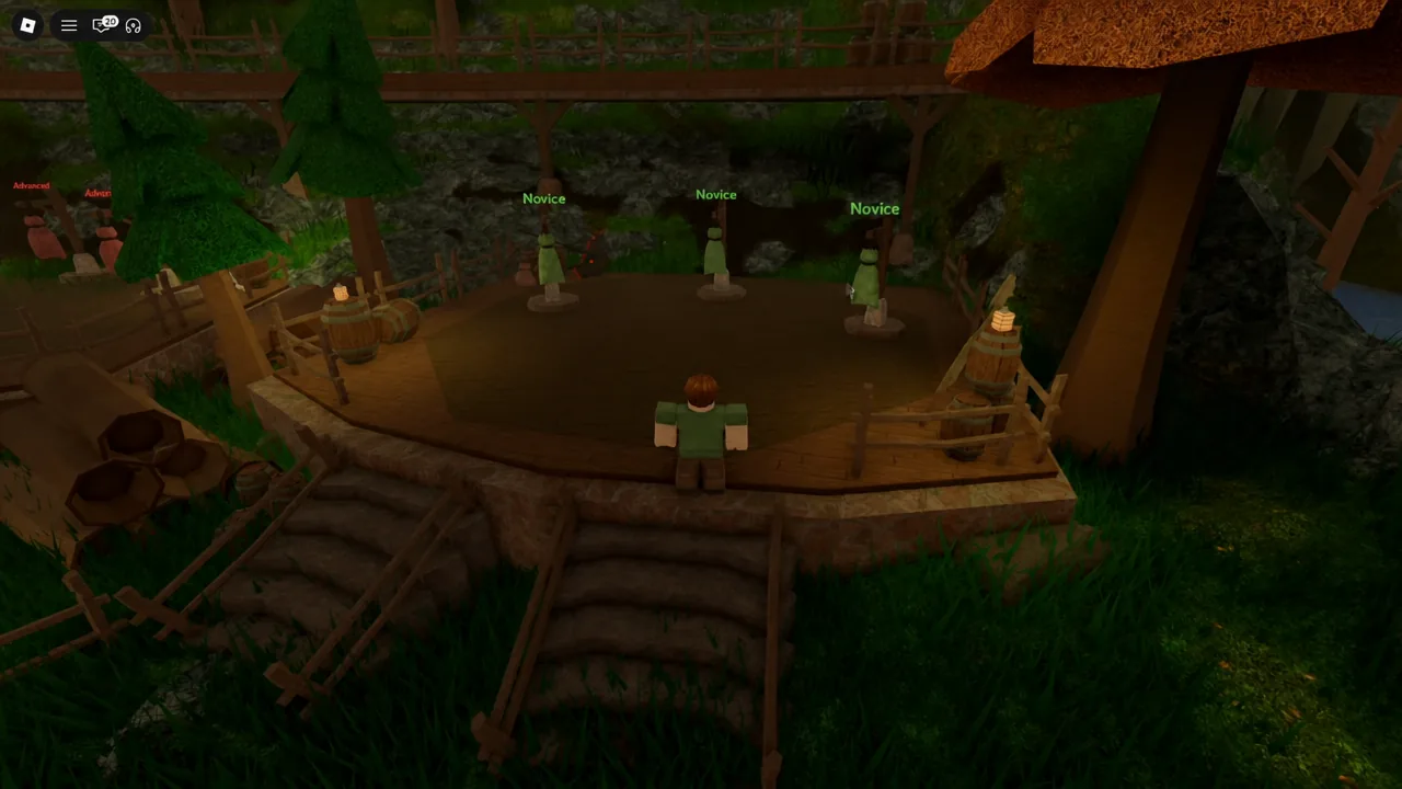 Character walking up to three Novice training dummies on a wooden platform in the hub