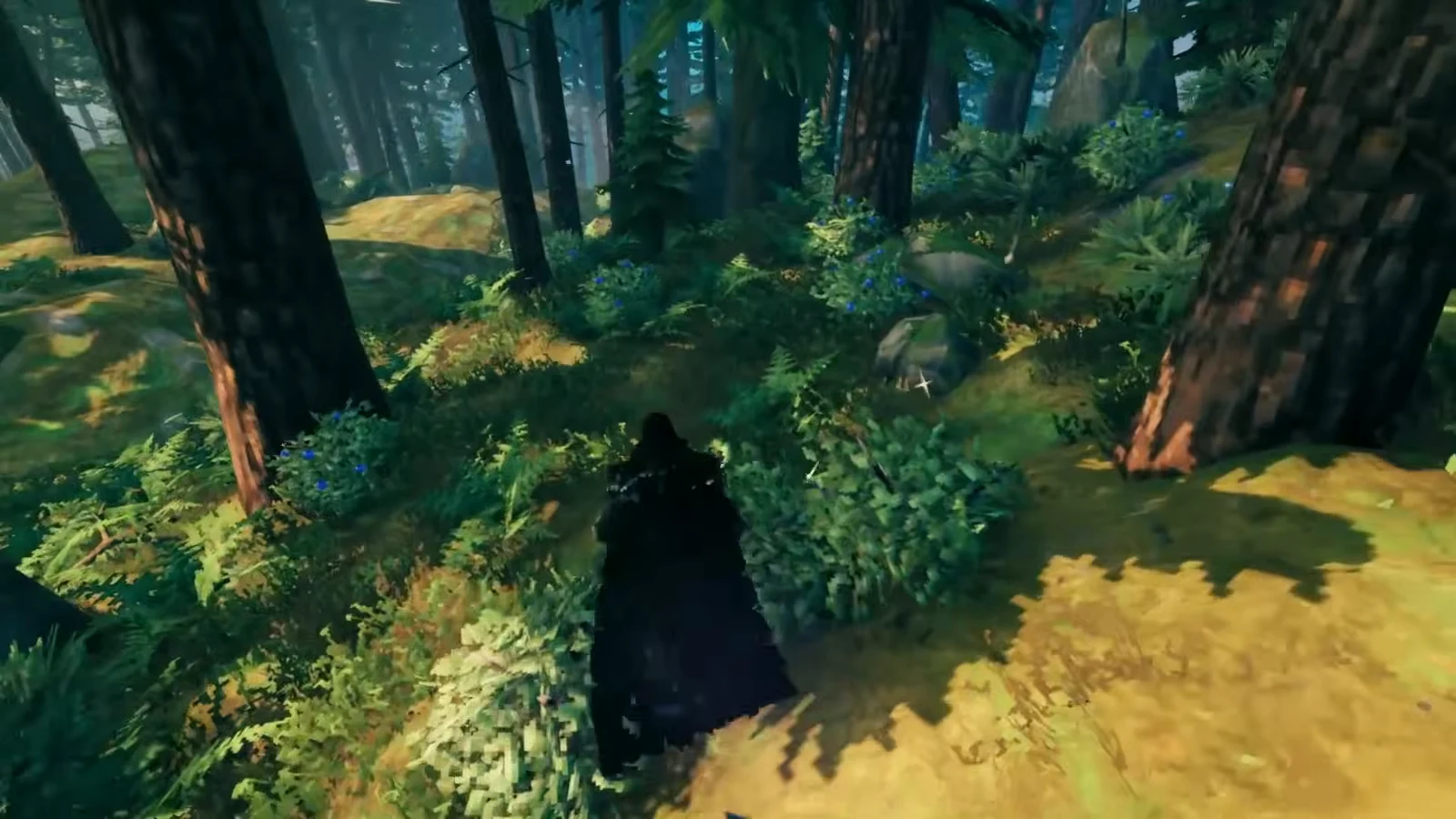 Cloaked Viking walking through a sunlit Black Forest clearing