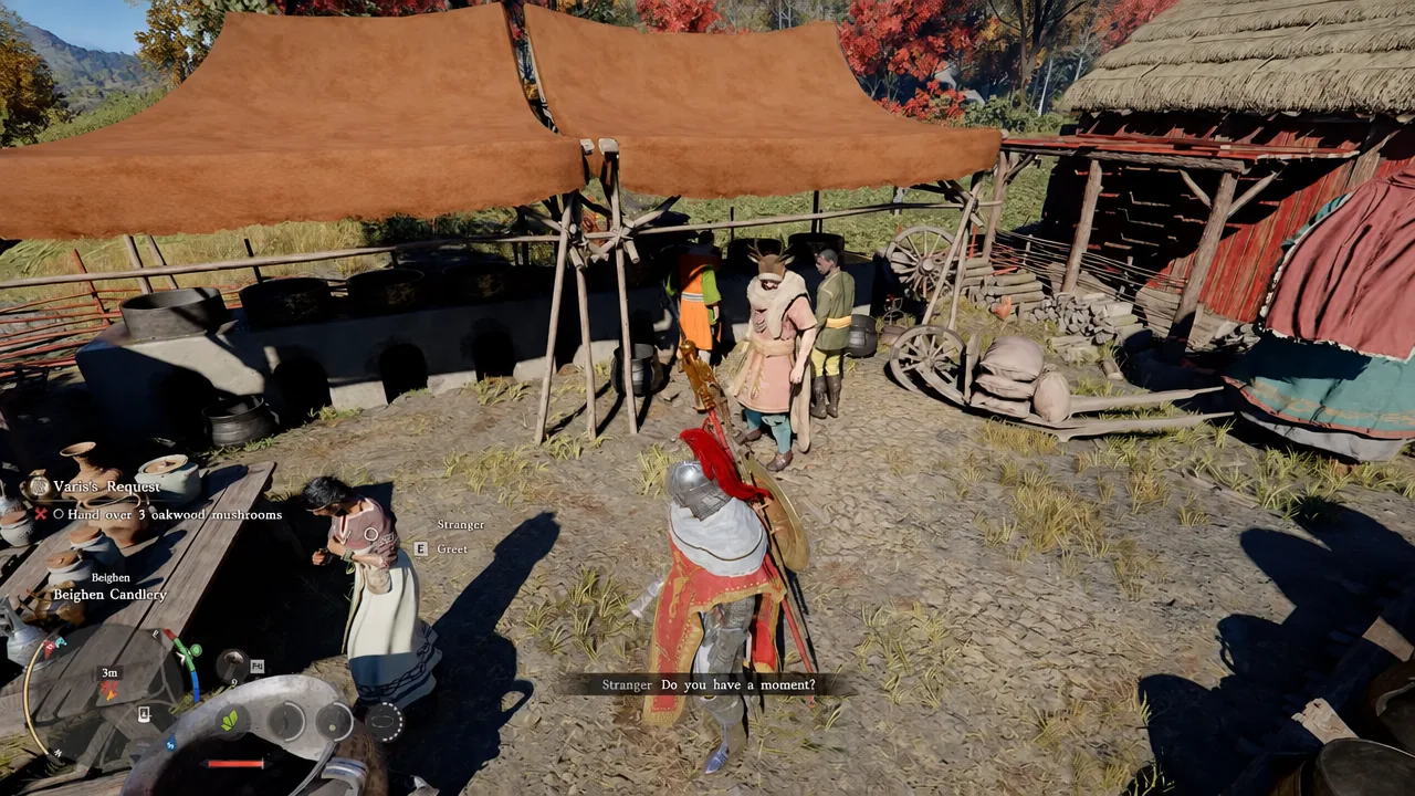 Dialogue with a Stranger under the tent canopy while the objective asks for three oakwood mushrooms