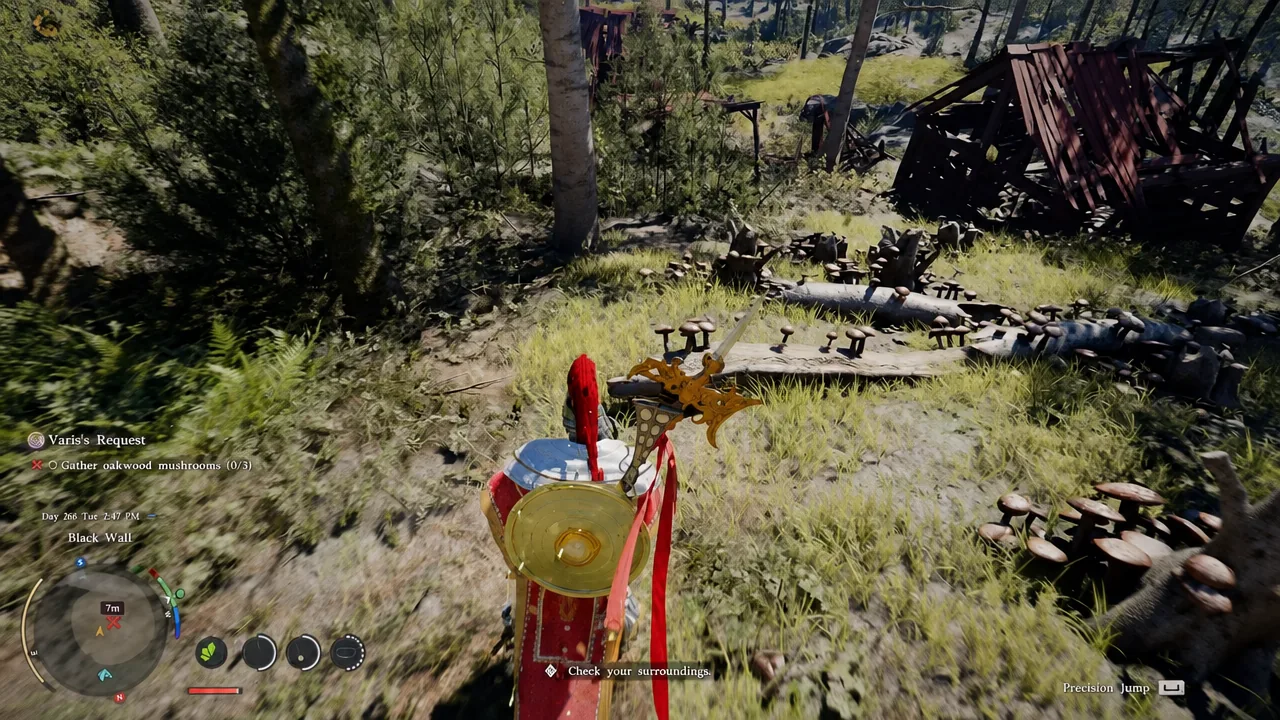 Searching the forest floor for oakwood mushrooms with the gathering objective on screen