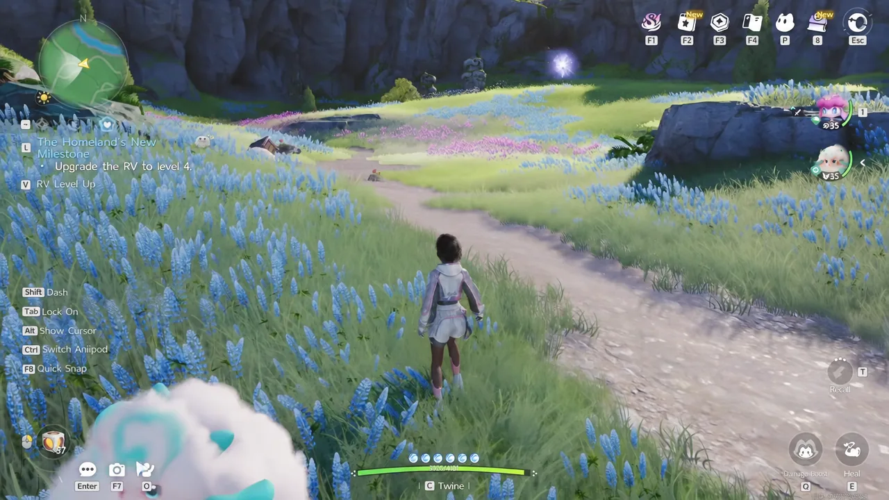 Marking the Nimbus Fields coordinates on the Breezy Plains world map