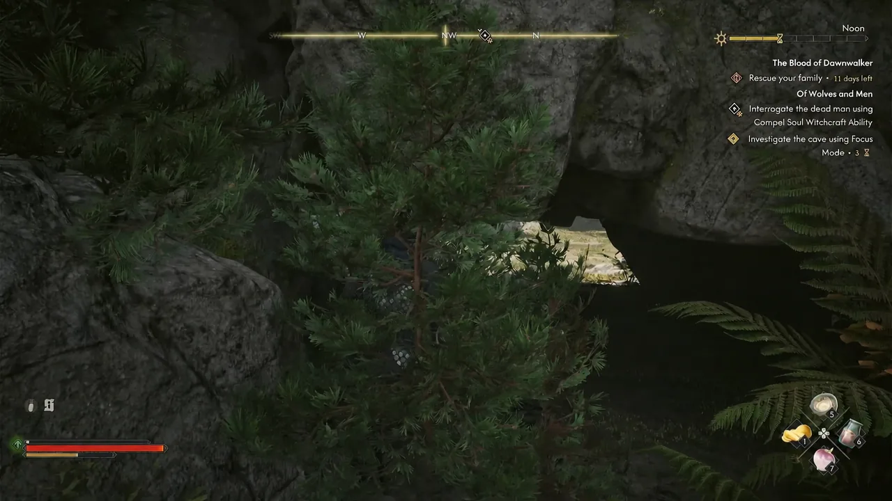 Cave entrance with the objective Investigate the cave using Focus Mode shown in the quest tracker