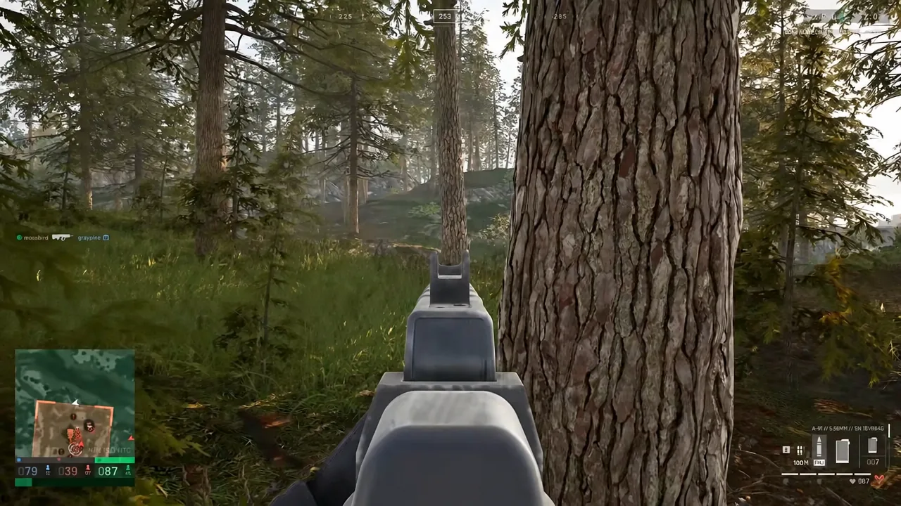 Aiming down iron sights from behind a tree during a forest engagement