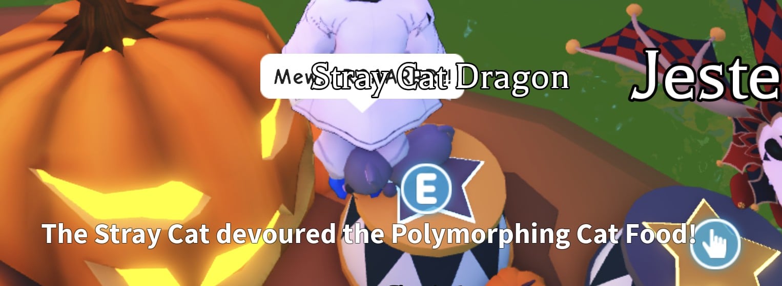 The message The Stray Cat devoured the Polymorphing Cat Food! under the Stray Cat's pedestal, with the label now reading Stray Cat Dragon