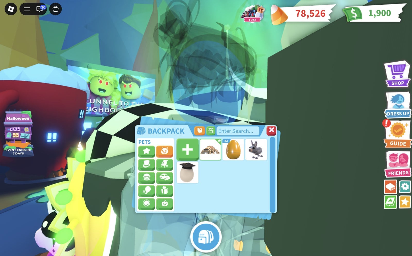 Adopt Me backpack Pets tab after feeding the Stray Cat, showing a Mummy Spider, eggs and a Donkey but no Stray Cat Dragon